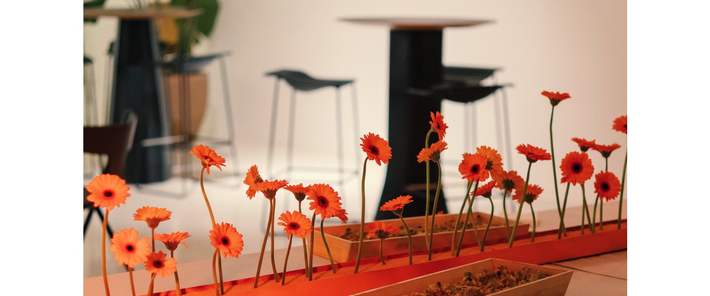 We opened our doors with Open House Valencia