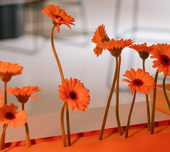 We opened our doors with Open House Valencia