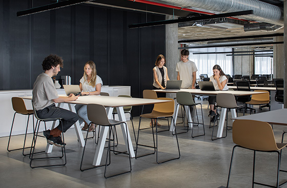 Altura 88 cm | 34.65"